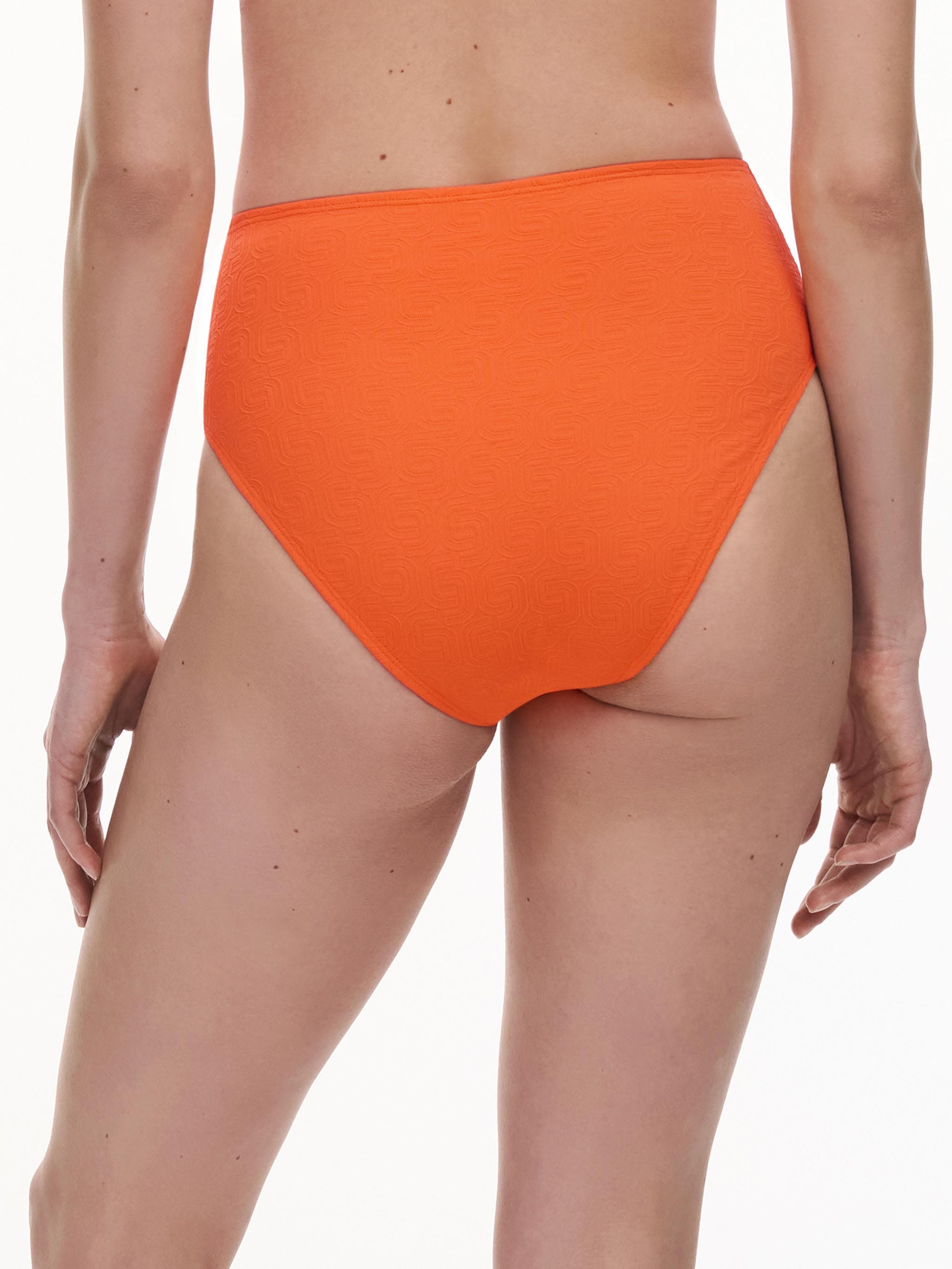 SW BO. FULL BRIEF STD HIGH W. - Savane orange