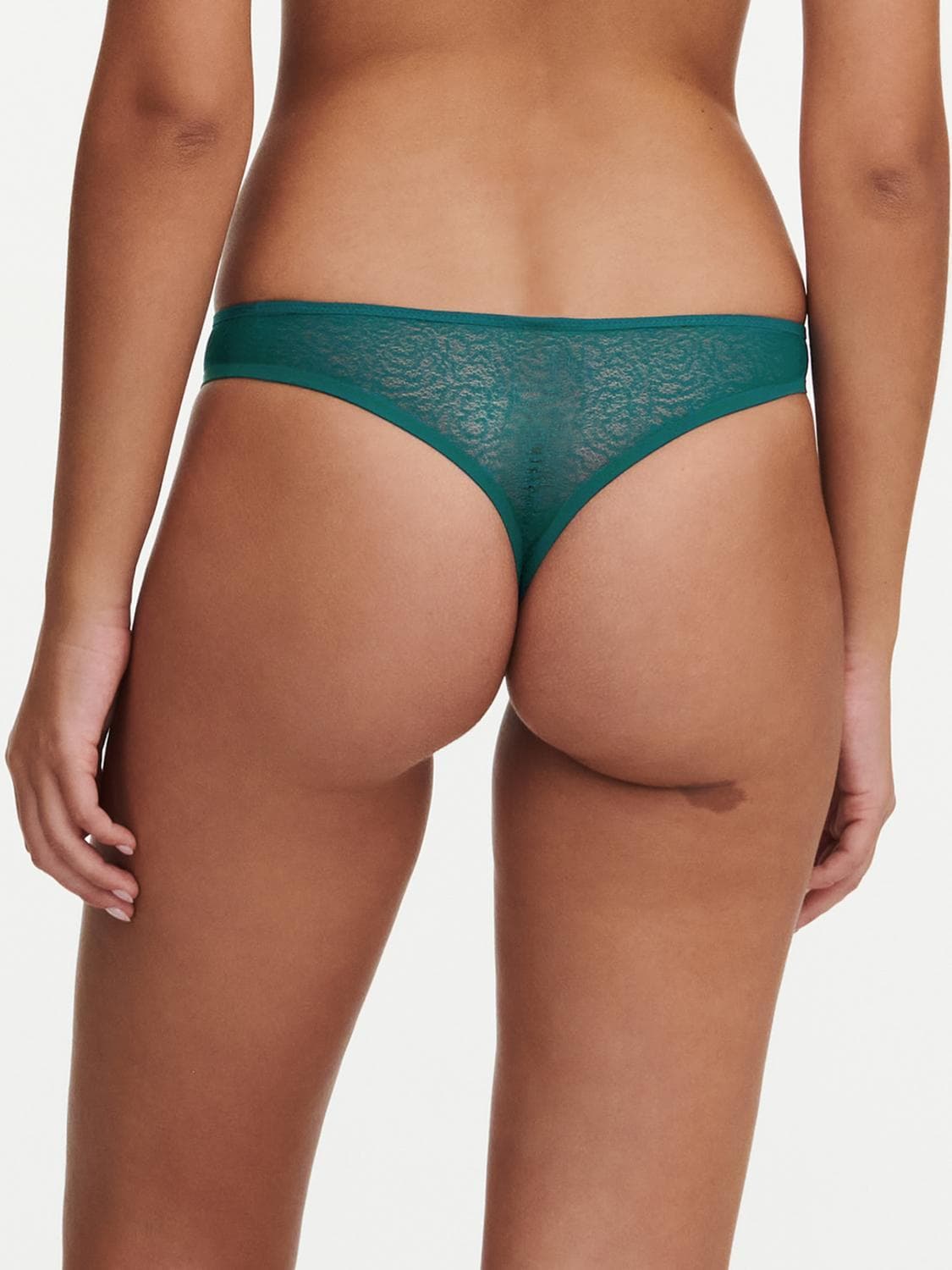 String trusse - Oriental Green