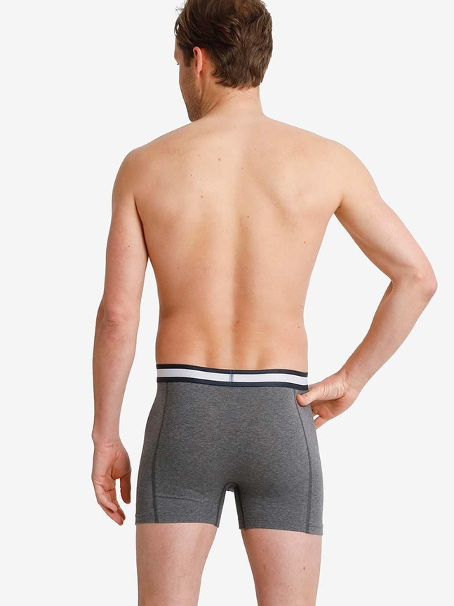 Herre boxershorts (3-pak) MEN Femilet
